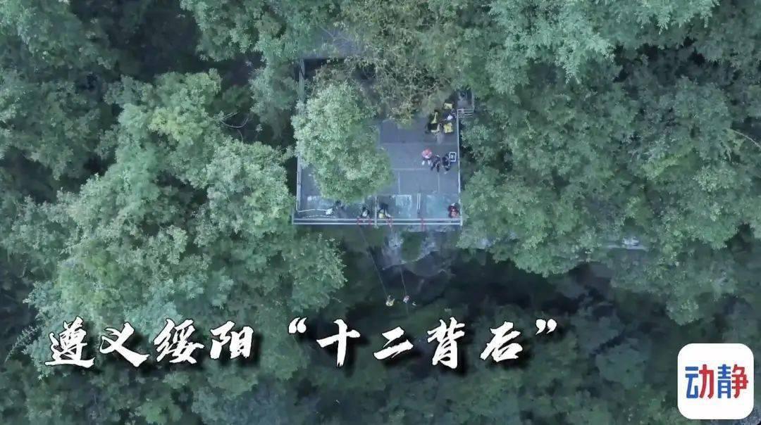 功夫熊猫官方手游
