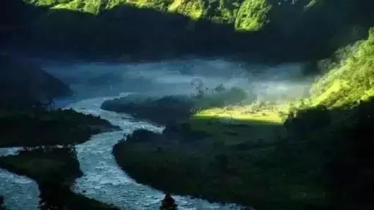 QQ企鹅