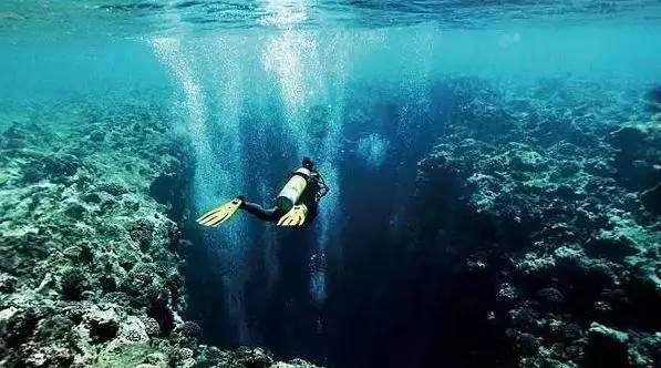 海底世界填颜色4